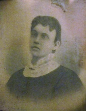 Gorman 7